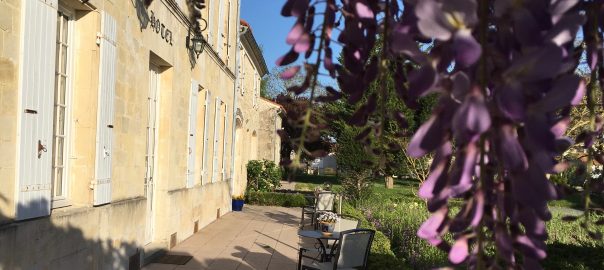 Vue du domaine du prieuré à travers la glycine